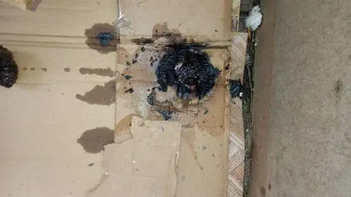 Житель Бурятии чуть не сжег свой балкон во время курения 