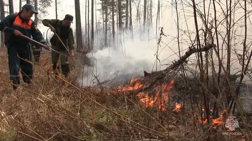 Восьми регионам Урала, Сибири и Дальнего Востока угрожают лесные пожары
