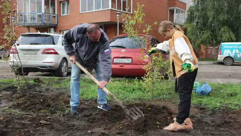 В Красноярске на благоустроенной в этом году набережной Качи высадили яблони
