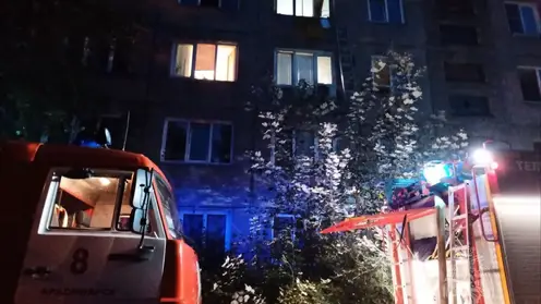 В Красноярском крае за сутки произошло 15 пожаров