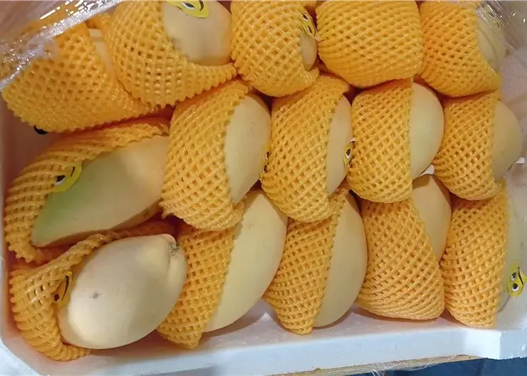 Зараженные манго из Китая обнаружили на красноярских прилавках