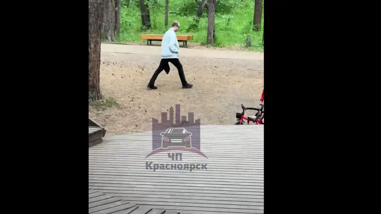 В Красноярске в «Гремячей гриве» неизвестный приставал к женщинам и лизал им руки