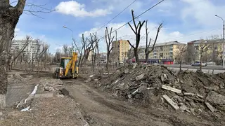 В Красноярске началось благоустройство променада на Красрабе