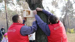 Волонтёры РУСАЛа организовали экоакцию по сбору орехов для белок Центрального парка