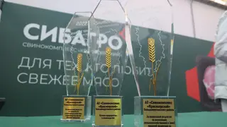 Красноярский свинокомплекс Сибагро стал лучшим предприятием Красноярского края