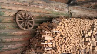 Жителей Красноярского края обеспечат дровами по-новому