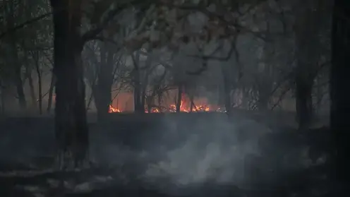 Первый пик пожароопасного сезона прогнозируют в лесах Сибири на конец апреля