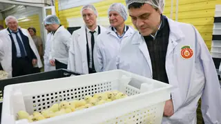 Губернатор Михаил Котюков поручил проработать эффективные меры поддержки для развития птицеводства в крае