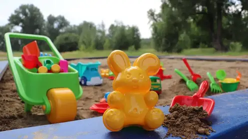 В песочницах красноярского Татышев-парка впервые появились детские игрушки